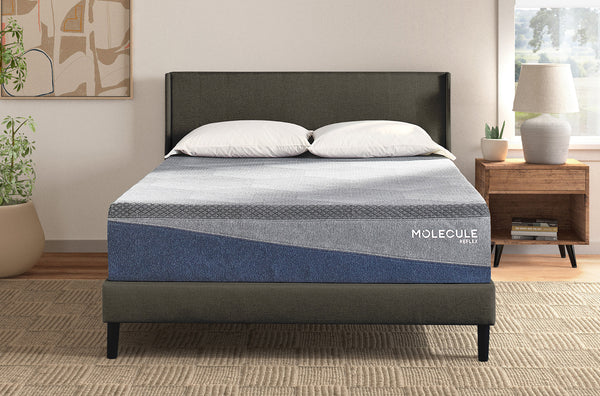 MOLECULE Reflex Embrace 12" Mattress