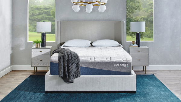 MOLECULE Reflex Hybrid X 14" Mattress