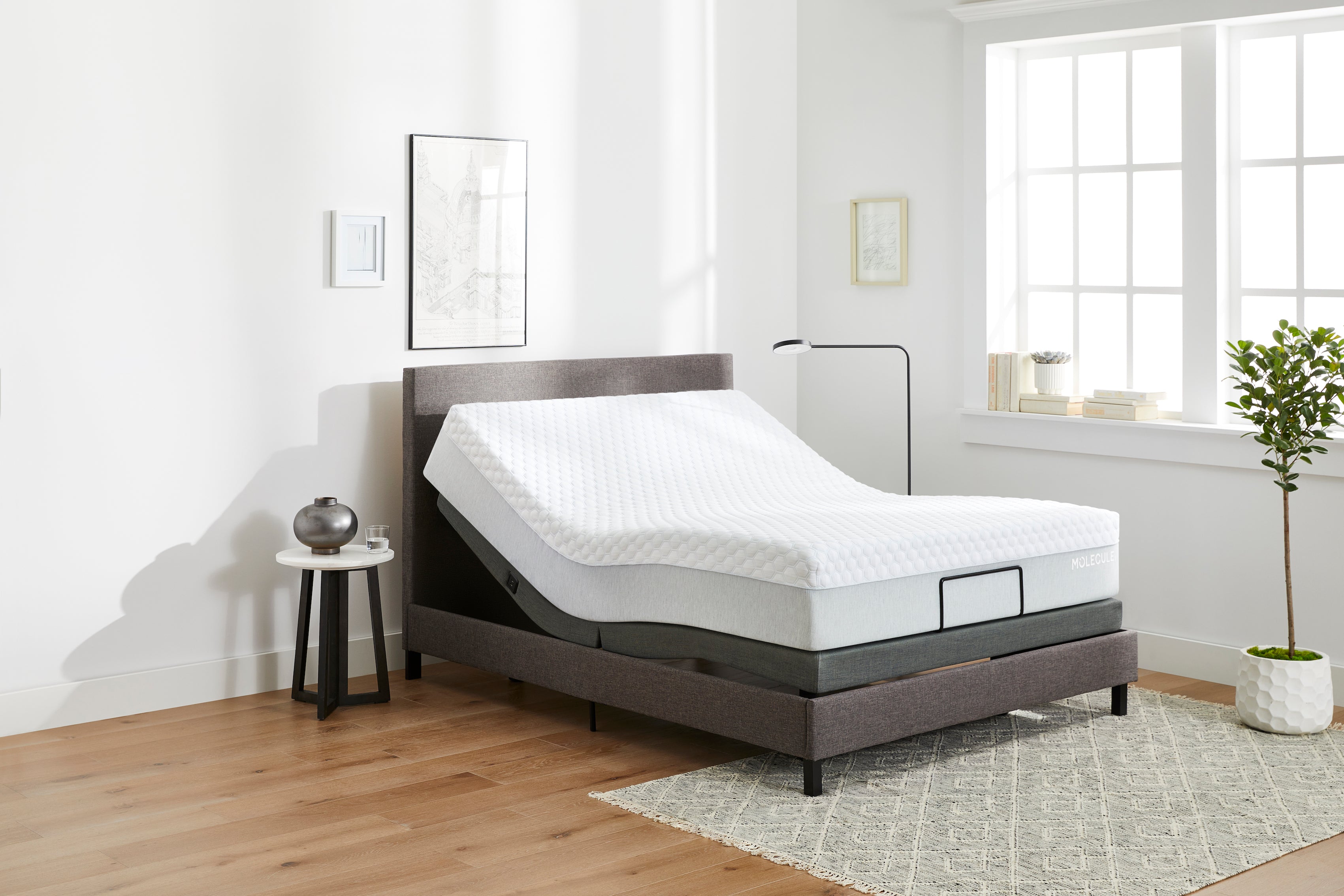 MOLECULE Adjustable Bed Frame