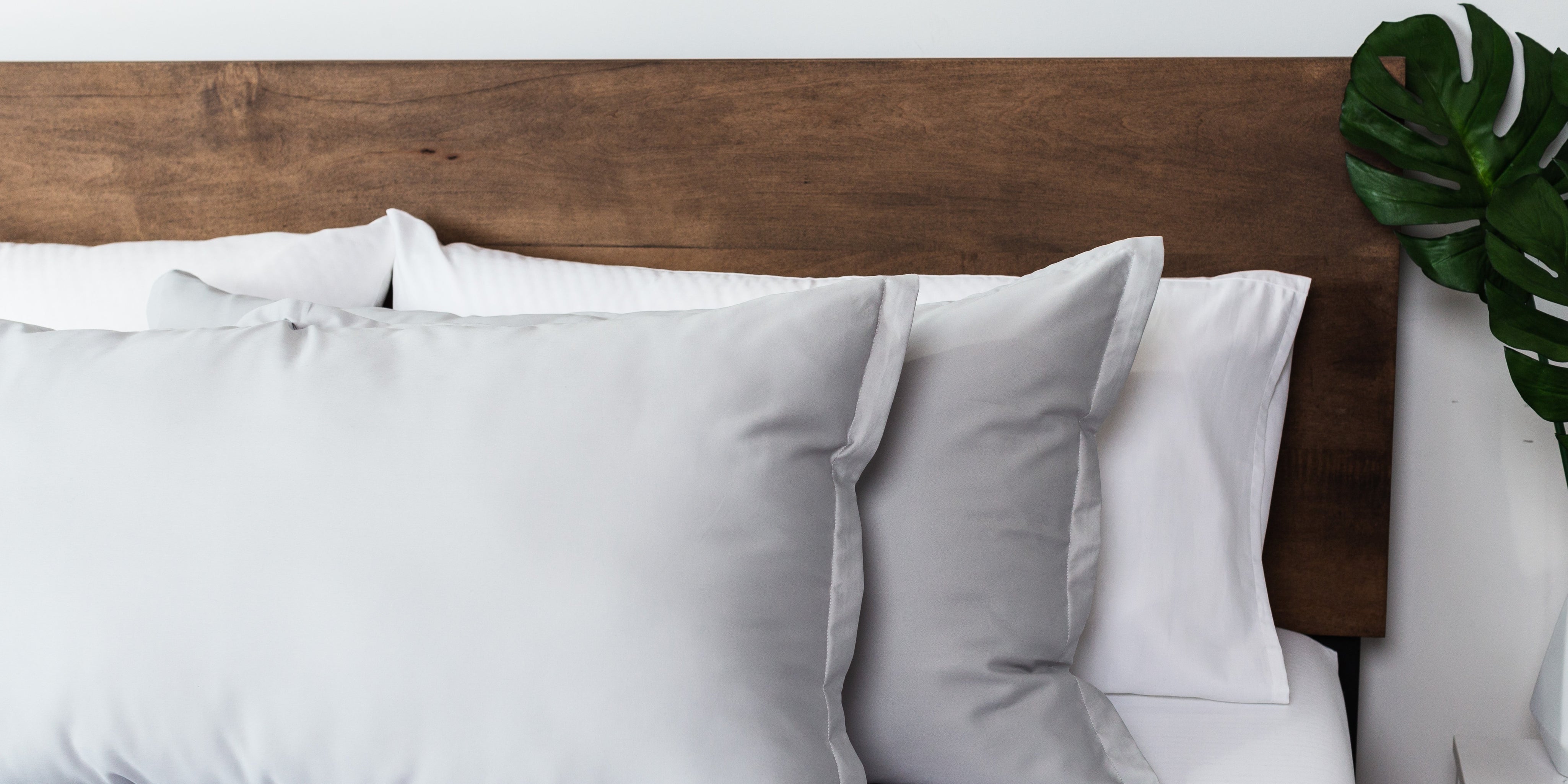 MOLECULE Pillow Shams